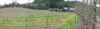 winery